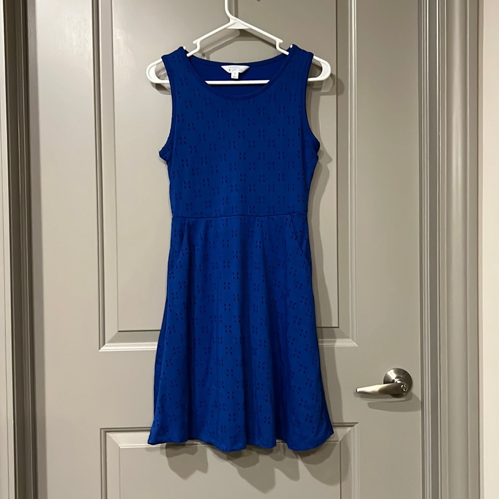 Elise Eyelet Knit Dress in Cobalt Blue